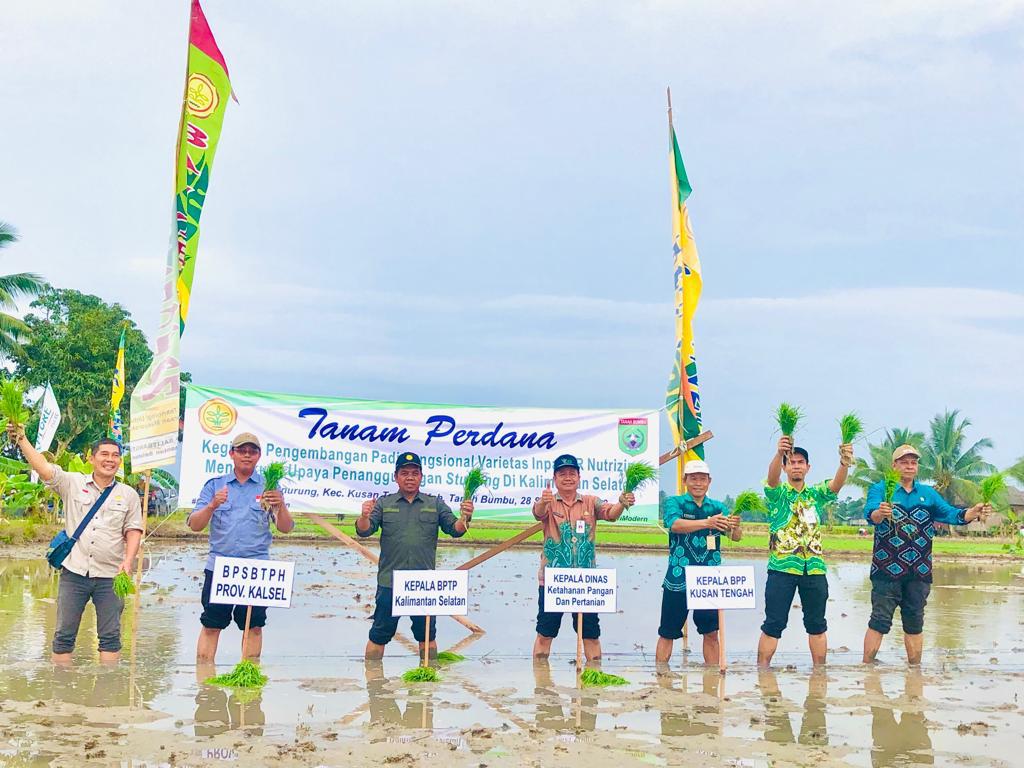 KABUPATEN TANAH BUMBUDKPP Tanbu Kembangkan Padi Varietas Inpari IR Nutri Zinc di Kusan Hulu dan Hilir