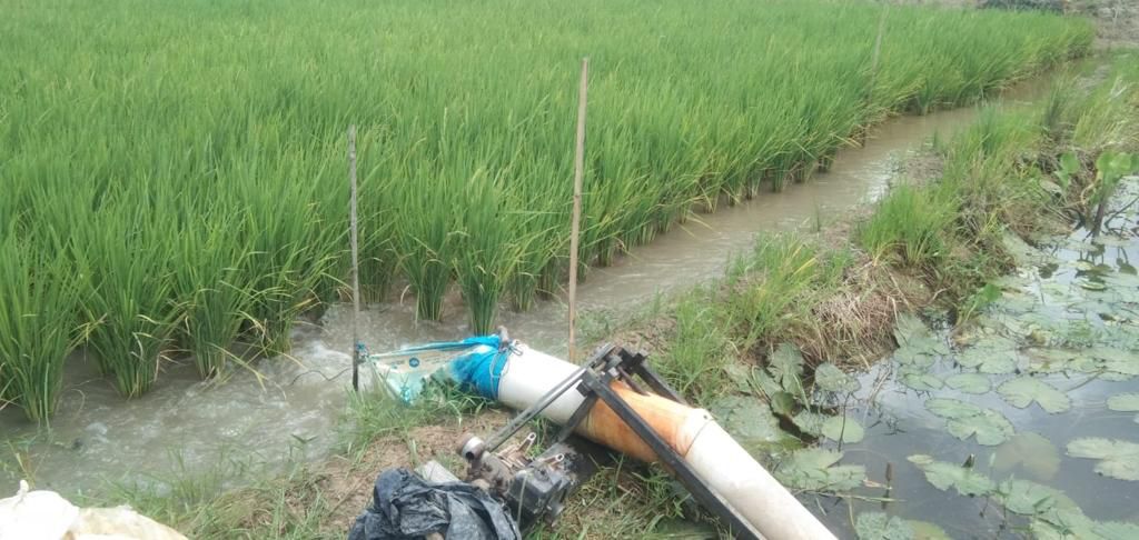 Dinas KPP Tanah Bumbu Lakukan Upaya Pengairan Padi Sawah Kekeringan Imbas El Nino